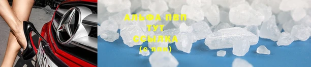 крисы Алзамай